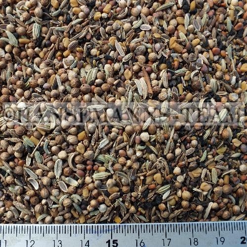 SAB Degu Saatenmix/SAB Degu Seed Mix  1kg