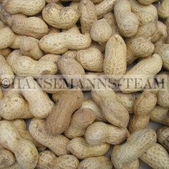 Erdnüsse in Schale   250g