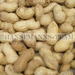 Erdnüsse in Schale  1kg