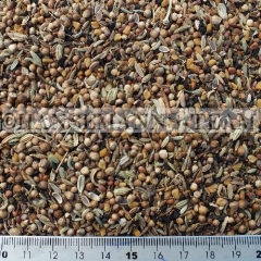 SAB Degu Saatenmix/SAB Degu Seed Mix  1kg